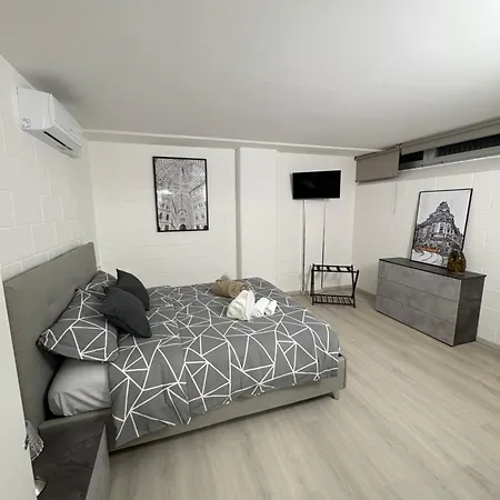 Tulipe House *